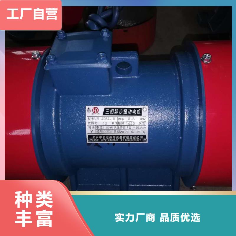 TZD31-2C振动电机质量保证