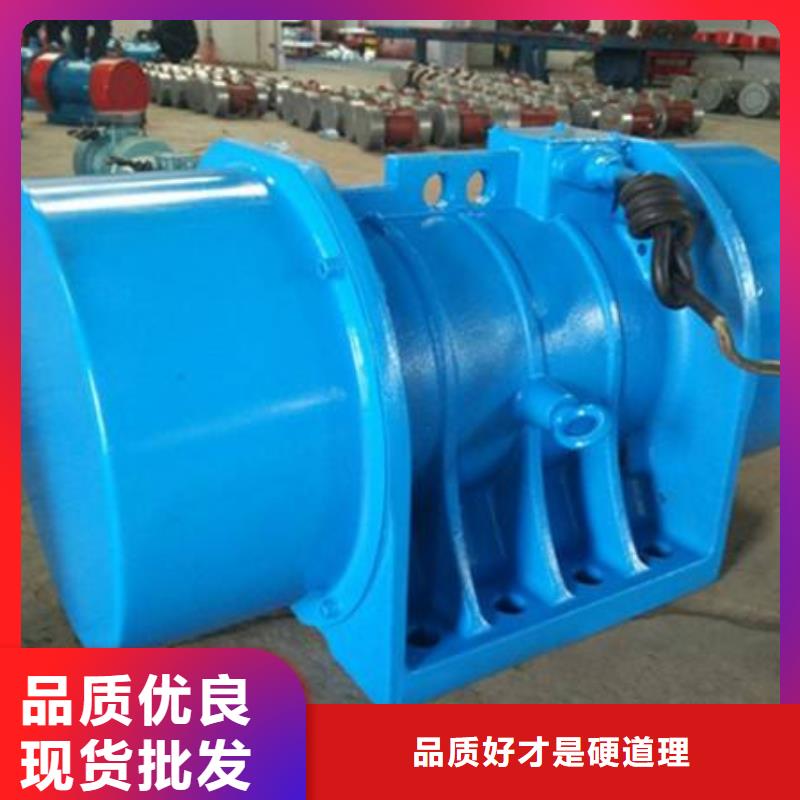 TZD31-2C振动电机质量保证