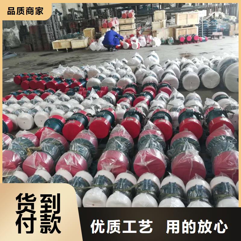 TZD31-2C振动电机质量保证