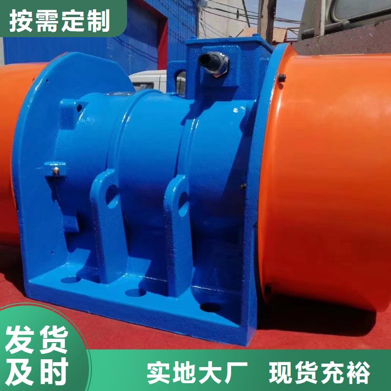TZD31-2C振动电机质量保证