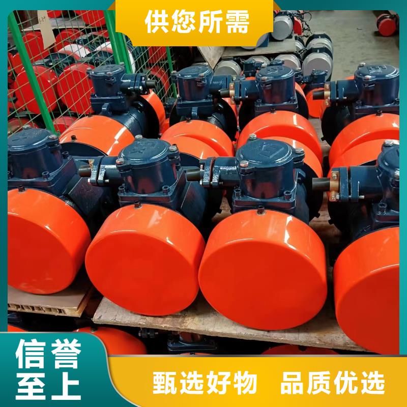 防爆振动电机防闭塞装置厂家厂家十分靠谱