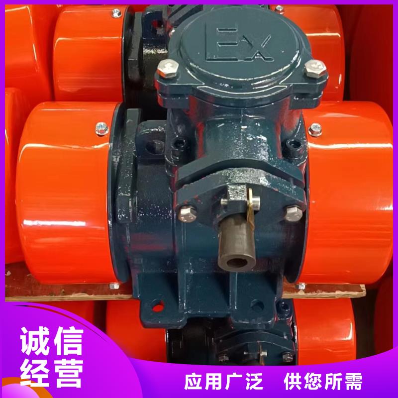 防爆振动电机,气流筛厂家实力雄厚品质保障