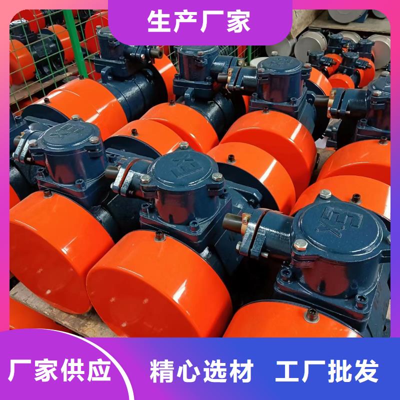 2025质优价廉#VB-40306-W振动电机制造商#来图定制