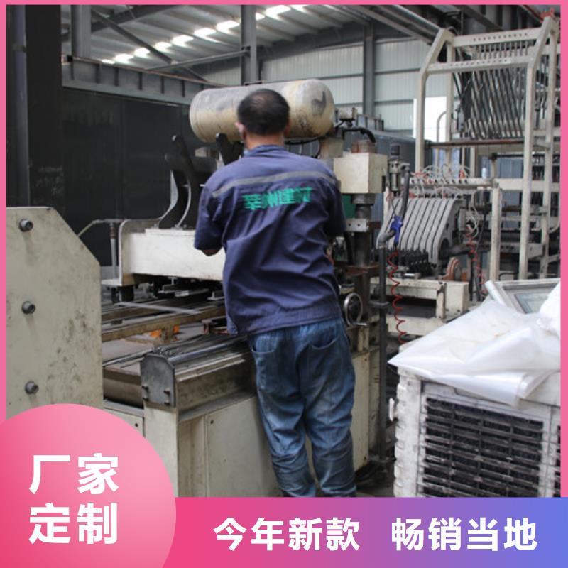 06蒸压加气混凝土板制造厂家