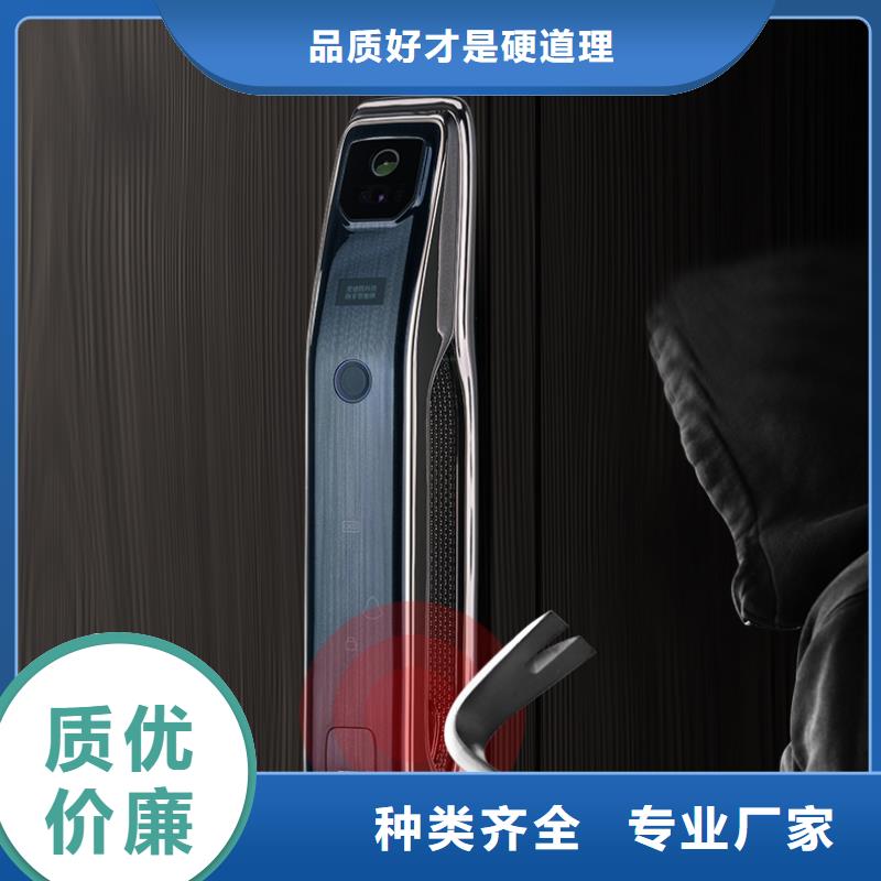 智能锁爱迪凯智能锁产品优良