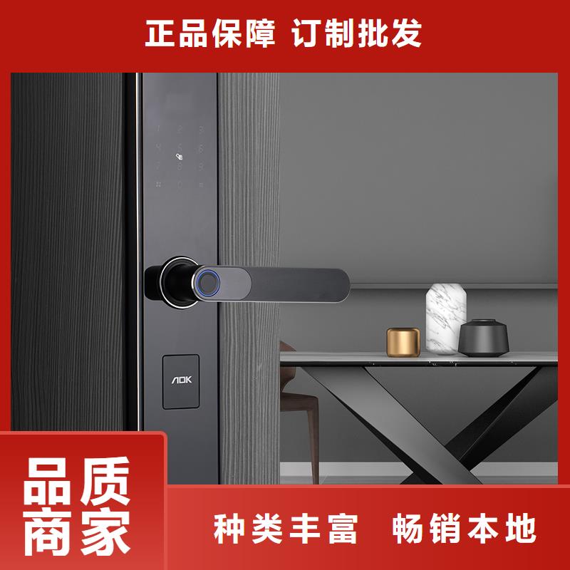 智能锁,销售智能电子锁定制零售批发