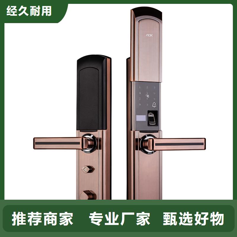 智能锁厂家直发