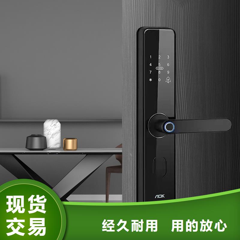 智能锁智能电子锁现货直发