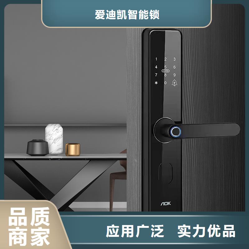 智能锁_人脸识别智能锁专注细节更放心