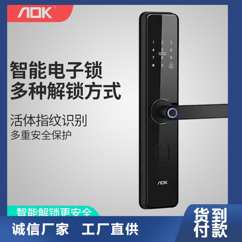 智能锁人脸识别智能锁批发诚信厂家