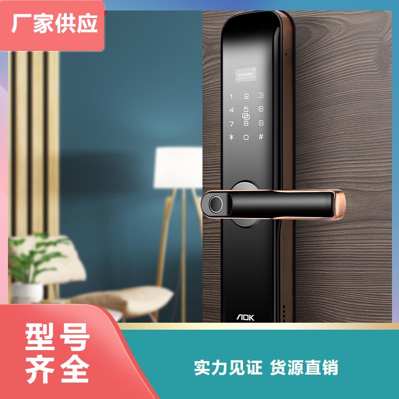 万宁市爱迪凯可视智能锁安装