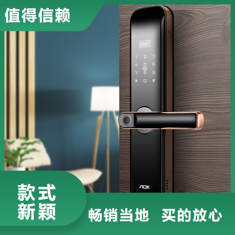 屯昌县智能电子锁哪款比较好