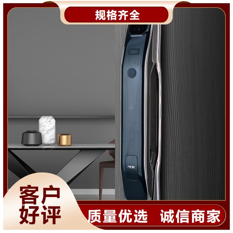 智能锁智能锁批发实力派厂家