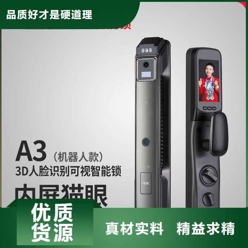 智能锁,销售智能电子锁定制零售批发