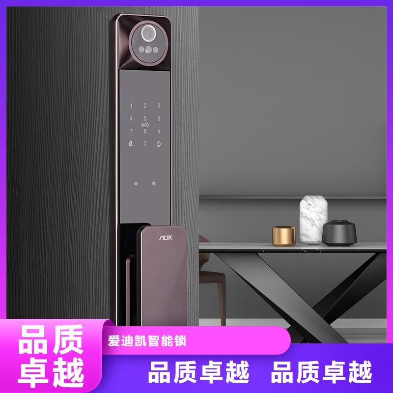 智能锁品质保障价格合理