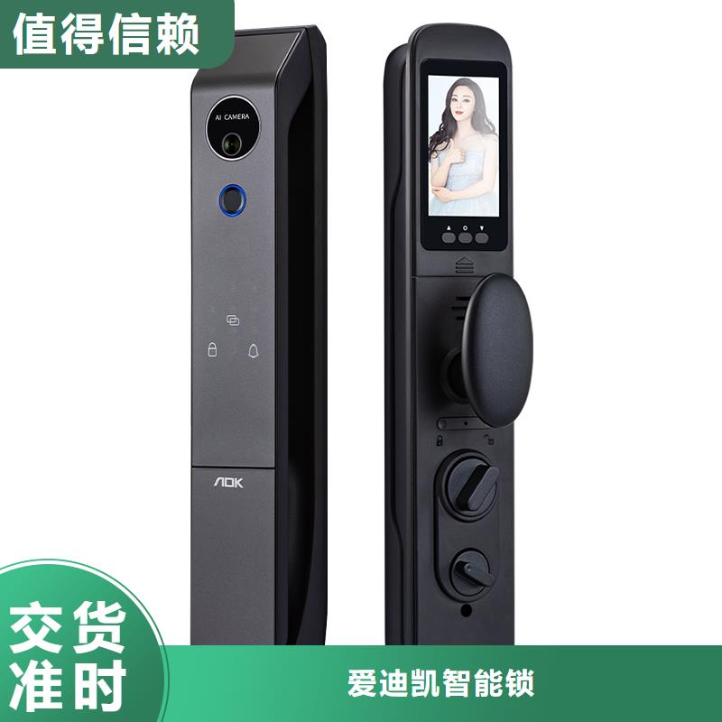 智能锁人脸识别智能锁销售拒绝伪劣产品