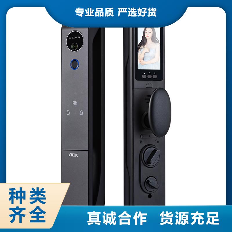 智能锁人脸识别智能锁生产厂家行业优选