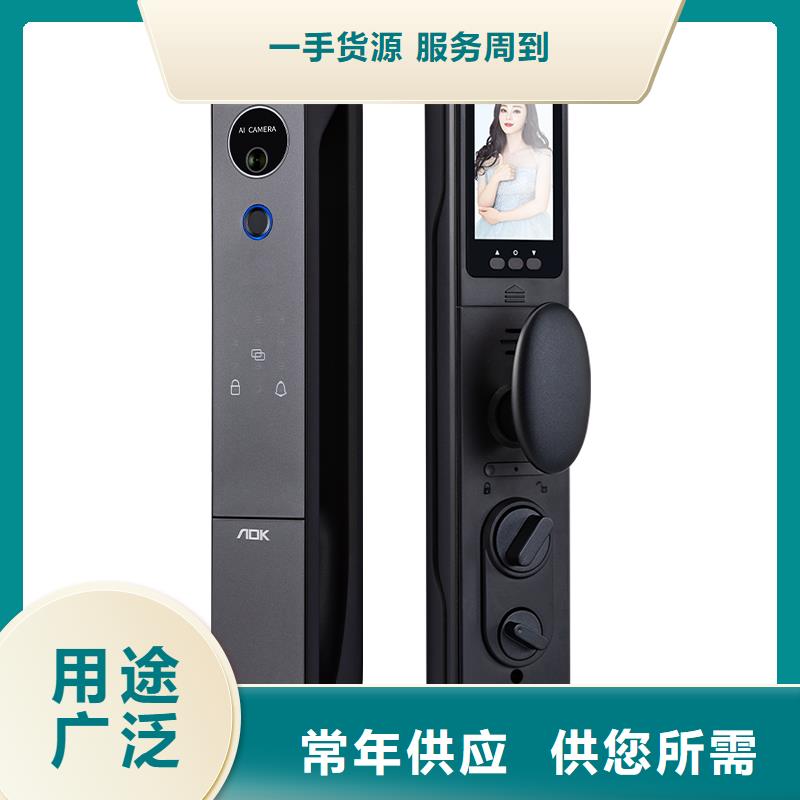 智能锁销售智能电子锁制造厂家