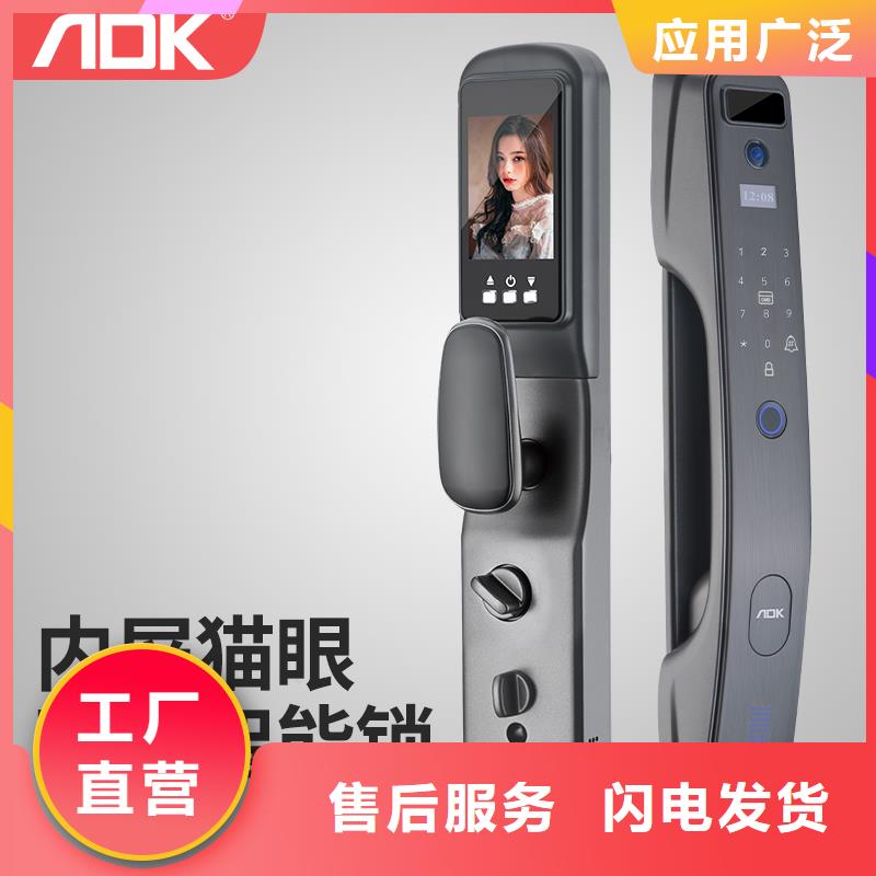 智能锁人脸识别智能锁生产厂家行业优选