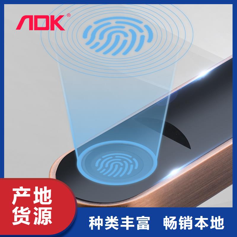 【智能锁】指纹锁销售厂家大量现货