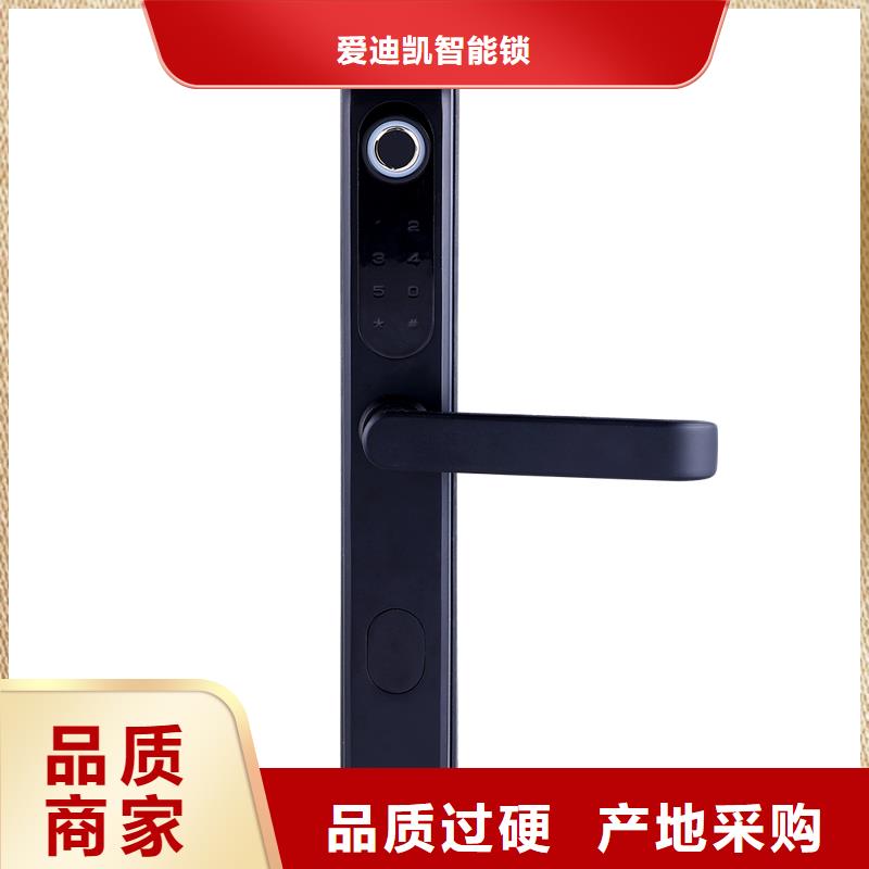 智能锁_人脸识别智能锁专注细节更放心
