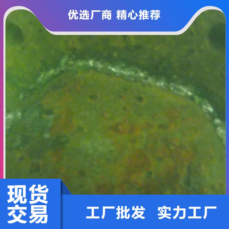 水下救援-视频-水下救援(龙腾)覆盖地域山东省聊城市临清|高唐|泰安|临沂|济南|青岛|烟台|德州