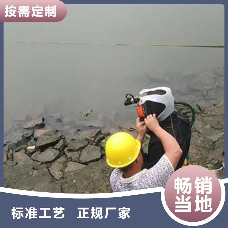 水下拦污栅更换清理
免费报价