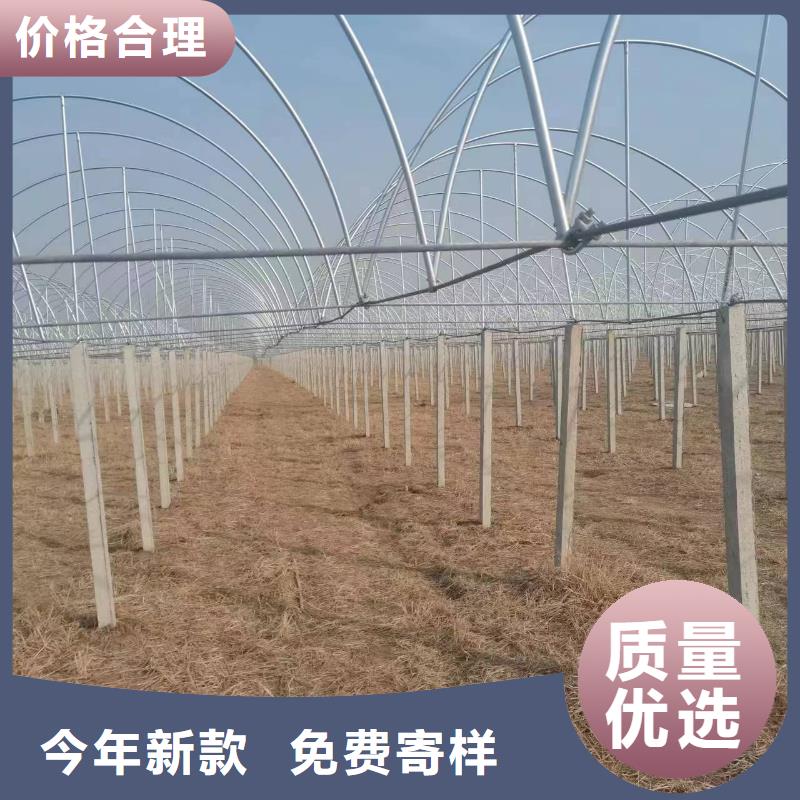 温室大棚方矩管源头工厂