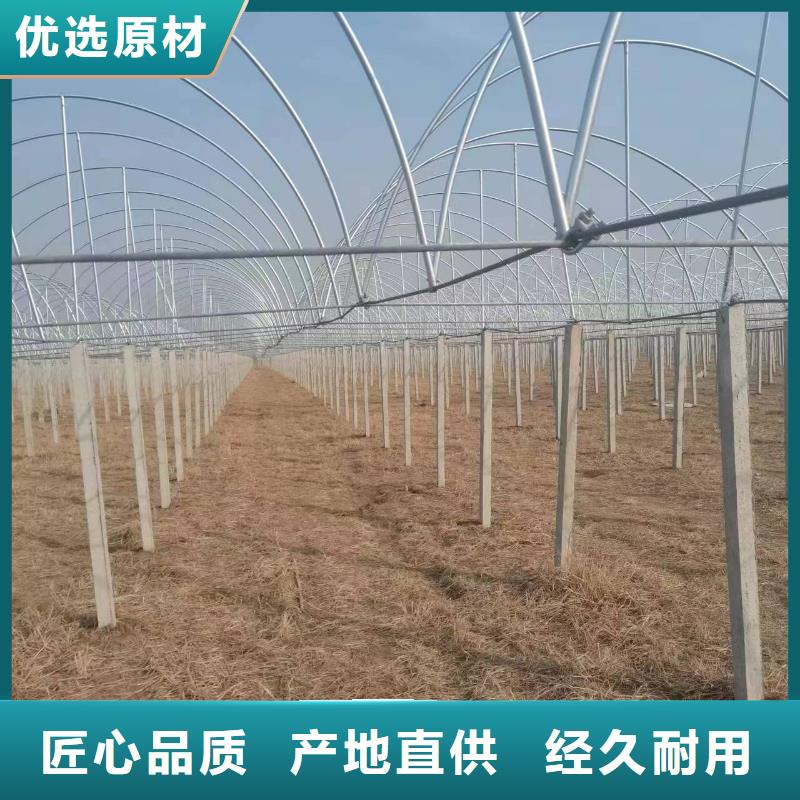 【温室大棚_螺旋地桩支持非标定制】