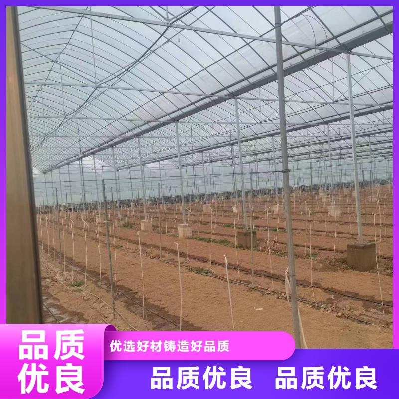 温室大棚热镀锌光伏支架价格实在