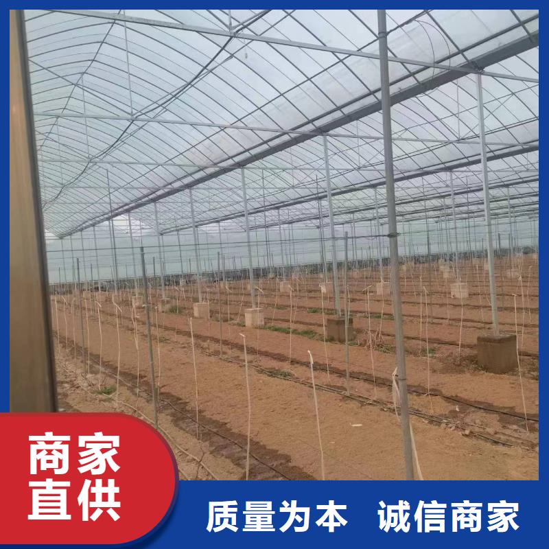 温室大棚大棚管认准大品牌厂家