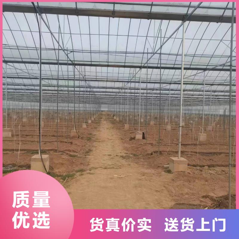 锌铝镁光伏支架视频-锌铝镁光伏支架|广西省桂林市|永福|七星|钦州|柳州|崇左|防城港|贵港|来宾