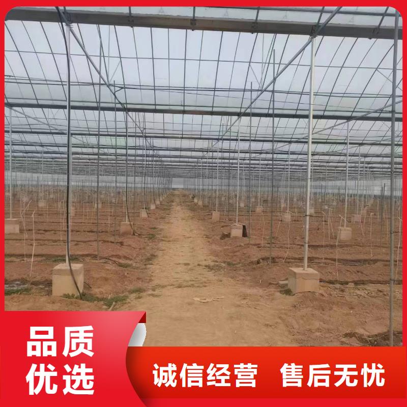 温室大棚冷棚自有厂家