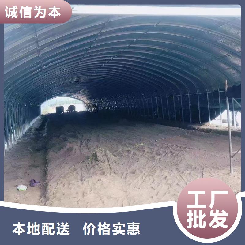 温室大棚锌铝镁光伏支架精品选购