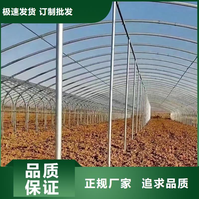 温室大棚-连栋温室供应商