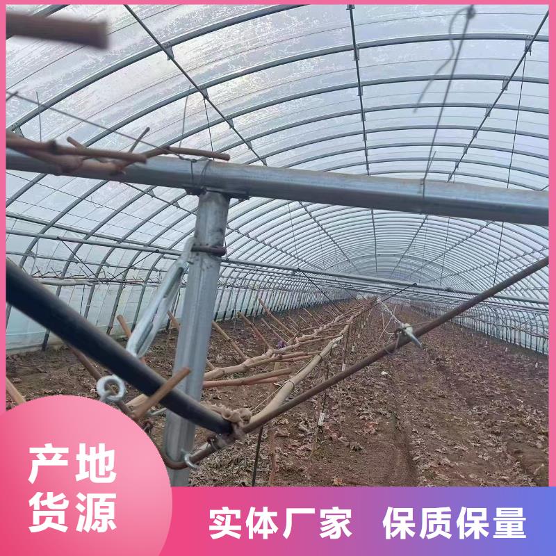 【温室大棚温室大棚遮阳系统优选厂家】