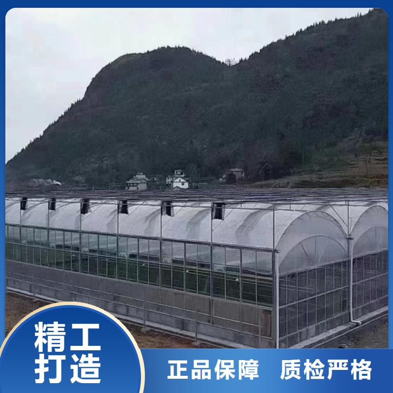 温室大棚冷棚大厂生产品质