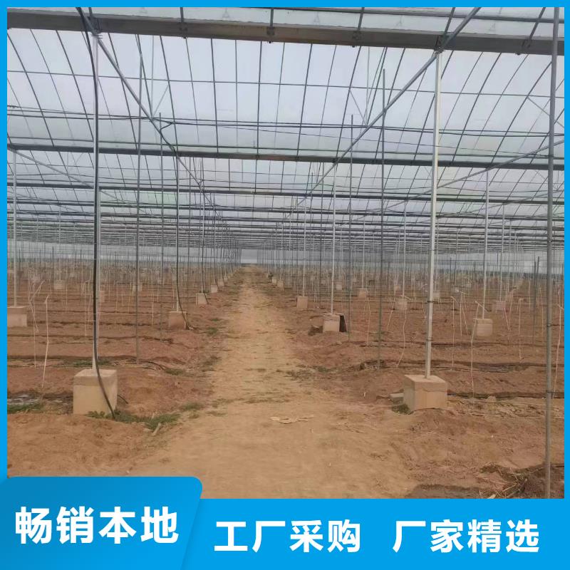 温室大棚-温室大棚管一手货源
