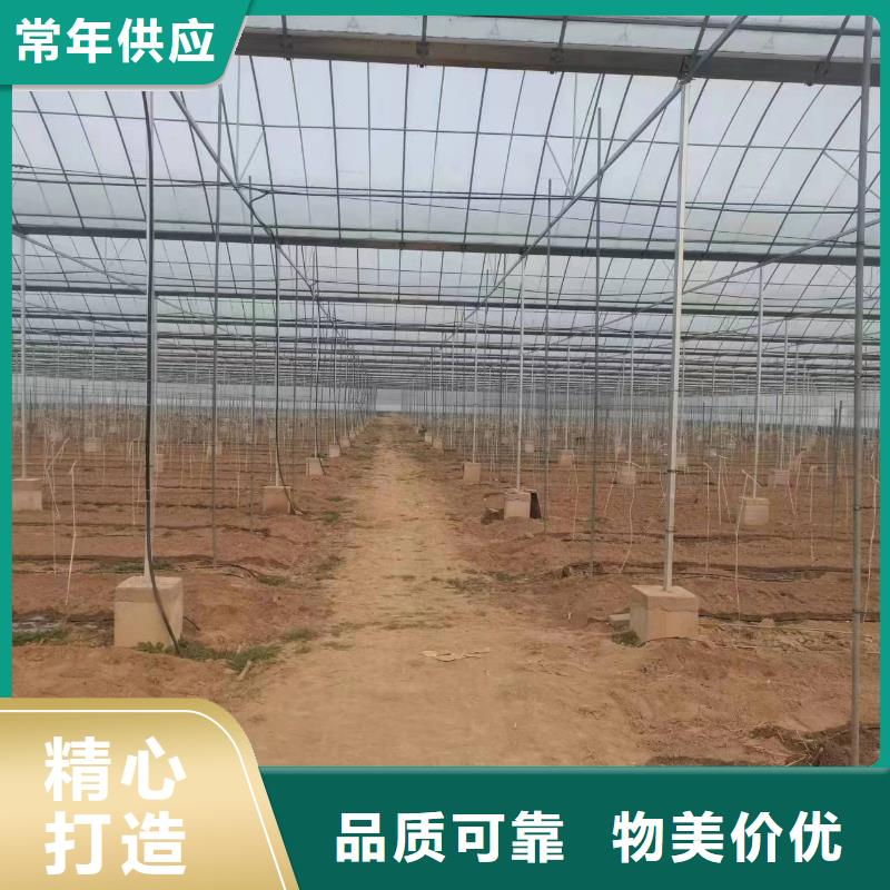 温室大棚光伏支架立柱货源报价