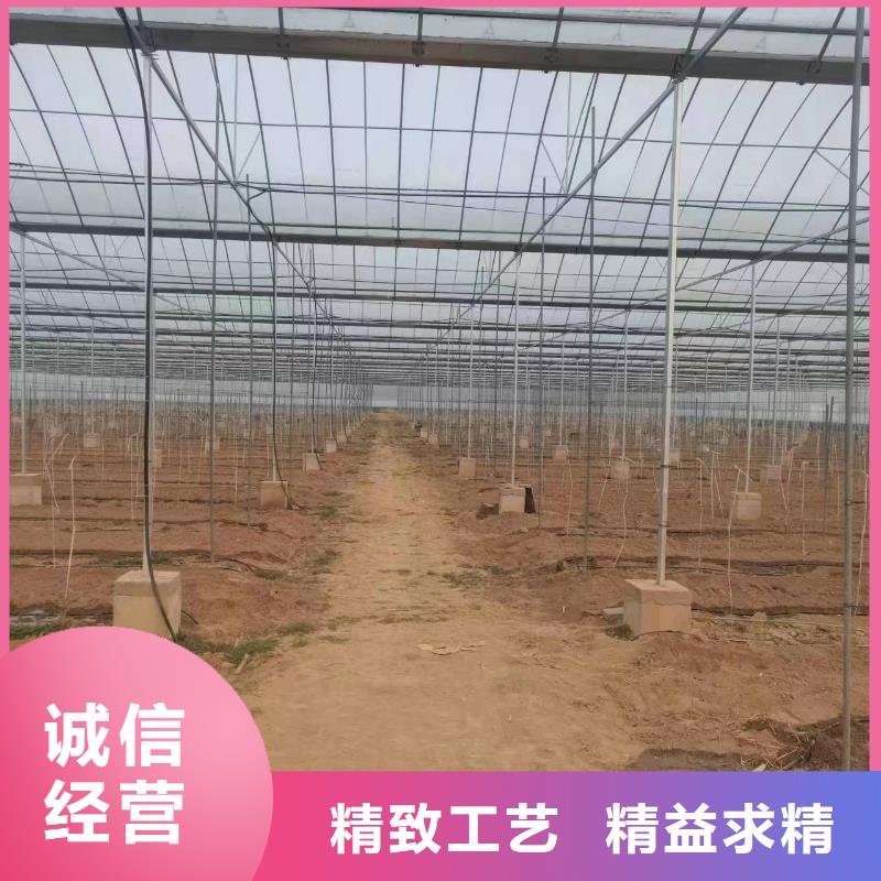 温室大棚热镀锌光伏支架价格实在