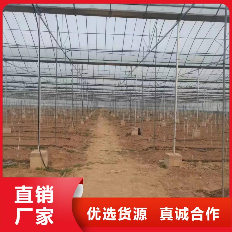 温室大棚热镀锌方矩管支持拿样