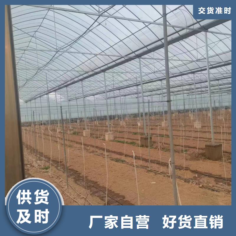 温室大棚方矩管源头工厂