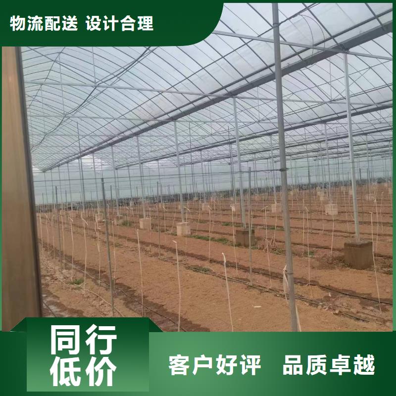 温室大棚,浇筑地桩您身边的厂家