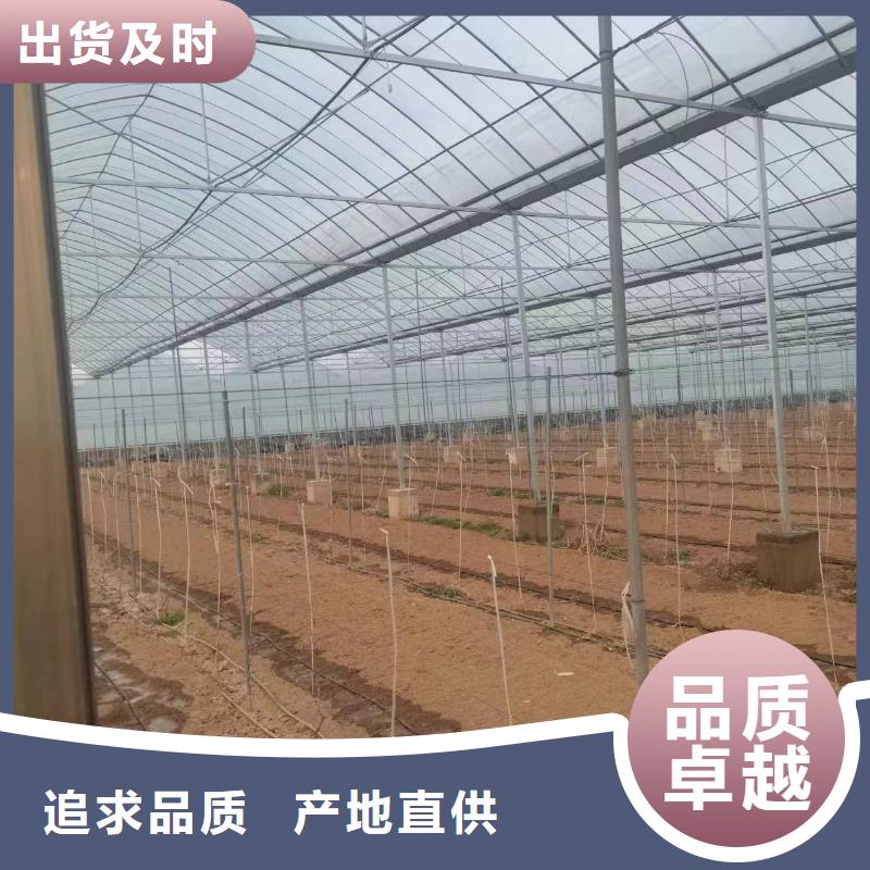 温室大棚热镀锌光伏支架价格实在