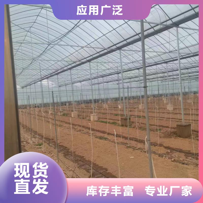 温室大棚-温室大棚管一手货源