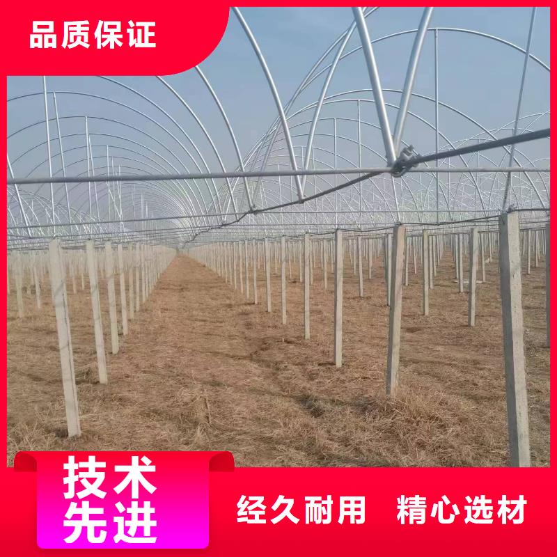 温室大棚-温室大棚管一手货源