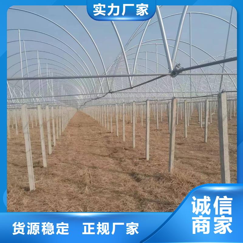 温室大棚-温室大棚水肥一体机制造生产销售