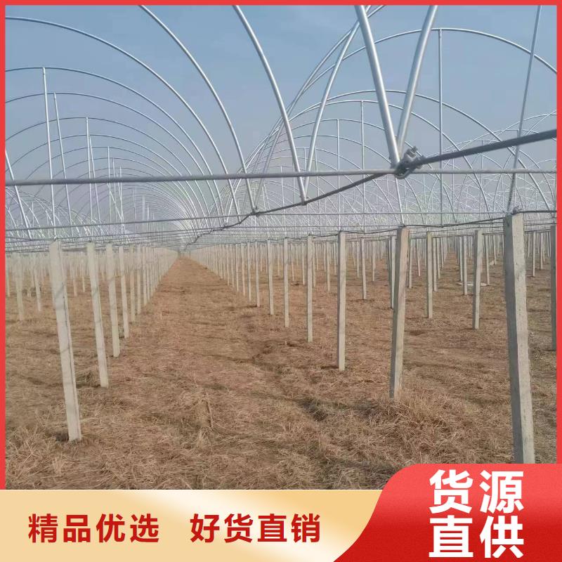 温室大棚热镀锌光伏支架价格实在