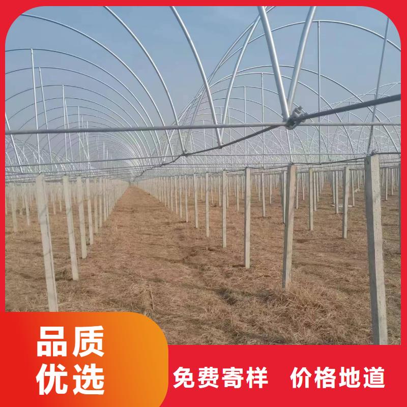 温室大棚热镀锌光伏支架价格实在
