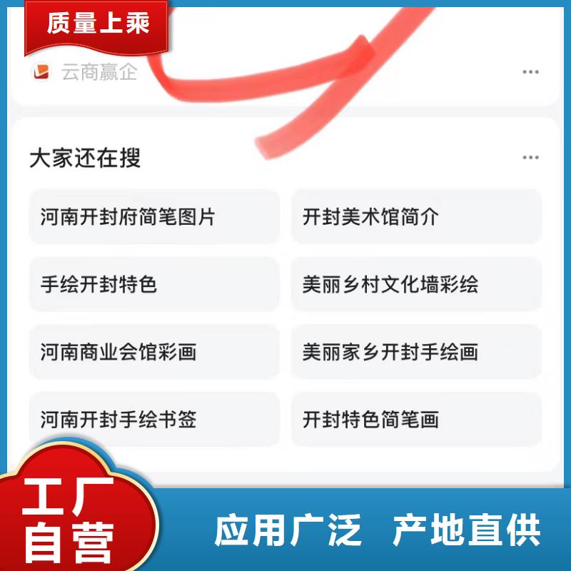 视频广告投放